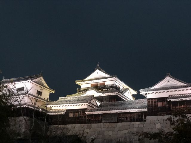 ���C�g�A�b�v�Ŕ��������яオ�����R�邪�ƂĂ��Y��ł���_���R�郍�[�v�E�F�C�E���t�g