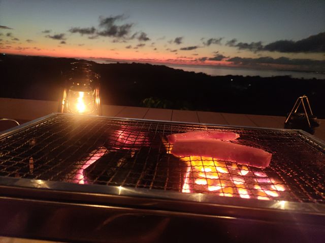 �������������ƍō��̗[�z�I�I_�I�[�V�������E���W