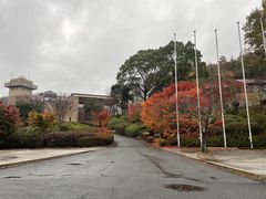 mousê났̐X@O[sAւ̓eʐ^1