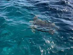 �������������JAM�}�����N���u�ւ̓��e�ʐ^1