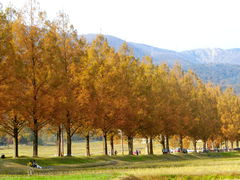 ܂̃^ZRCA؂ւ̓eʐ^1