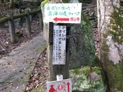 ̑11ԎD R @ 䎛̓eʐ^1