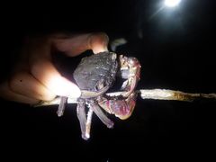 y.itsukảnGRc[lbgւ̓eʐ^1