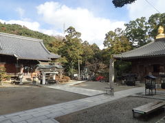 }Cann̋򎛂ւ̓eʐ^1