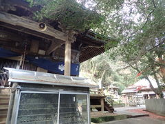 �}�C�a�n�n����̑�2�ԎD���Ɋy���ւ̓��e�ʐ^1