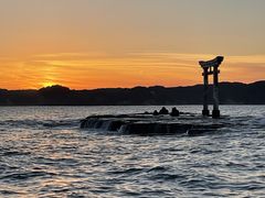 KittySeafari Japanւ̓eʐ^1