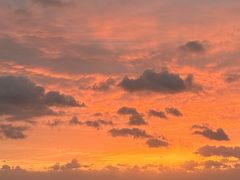 KittySeafari Japanւ̓eʐ^1