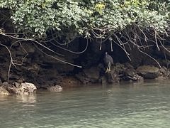 ܂݂܂݂̃u[tB[hւ̓eʐ^1