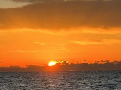 TakoSeafari Japanւ̓eʐ^1