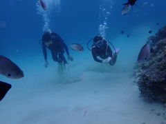 ͂ς̐̓A@Dive@ւ̓eʐ^1