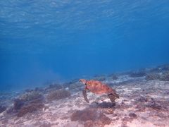 MAimtida{Óւ̓eʐ^1