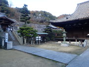 �}�C�a�n�n����̑��R���{���̓��e�ʐ^1