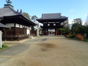 �}�C�a�n�n����̓���V�̓��e�ʐ^1