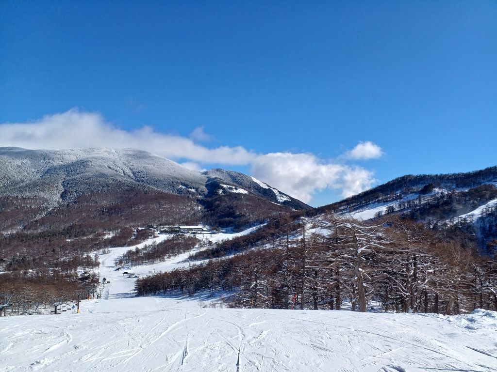 中軽井沢駅周辺のスキー・スノーボードランキングTOP5 - じゃらんnet