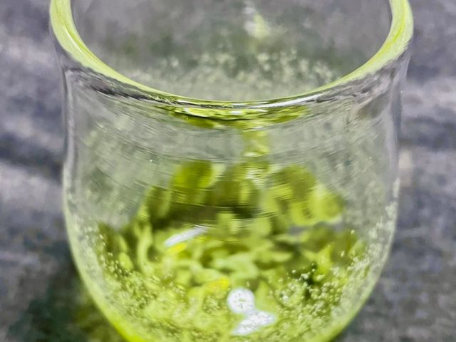 �`���������E�Ώۂł͂Ȃ��Ƃ��낪�����������ĂƂĂ��C�ɓ����Ă��܂�^_^_�ɓ����K���X�H�[���݂̂���