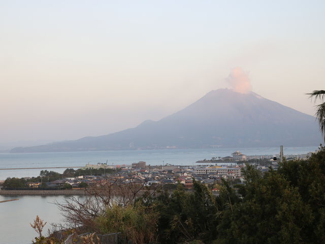 ����񂱂����ނ�����̍��󌒍N�ۗ{�Z���^�[�F���������̓��e�ʐ^2