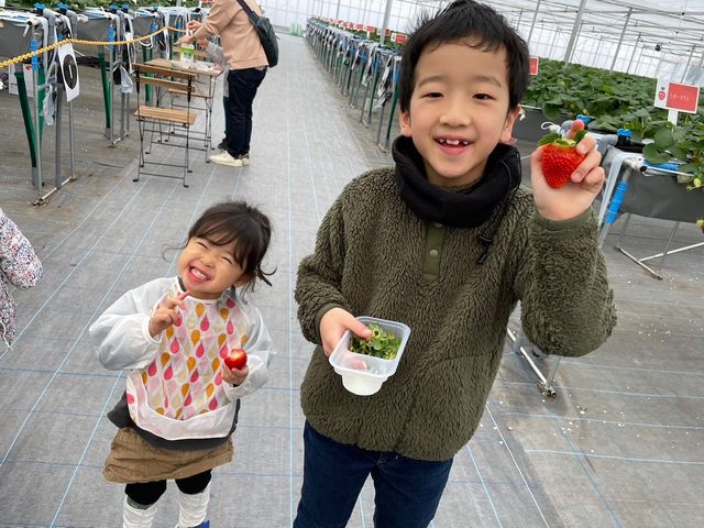 nEX߂ႫꂢłB_PP̓m