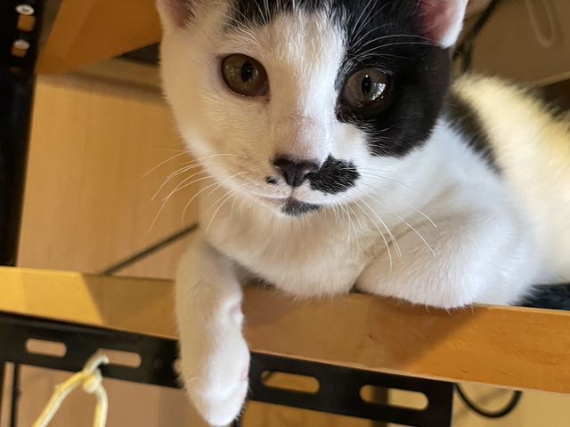 �A�鎞�̎q�L�����
��ꂽ�̂��Ƃ�[��_���났�Ö��Ɓ@�܂ߔL