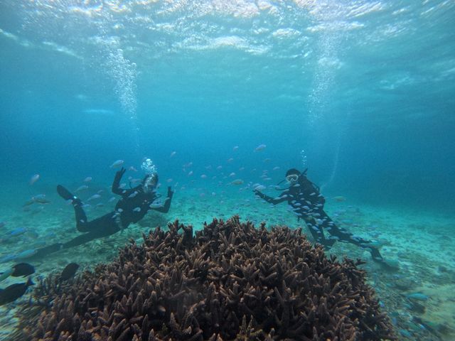 宮古の海は最高すぎました!_marine assist DEMI