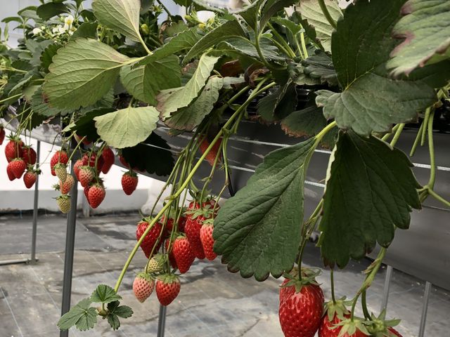 ���ݍ͔|�ŐH�ׂ₷�������ł��I_������������