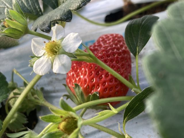 ���������ĐԂ��ĊÂ��������ł����I_�����_��