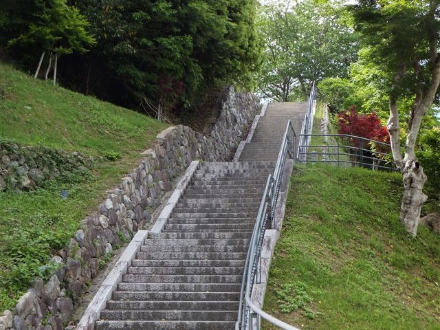 �����Βi���オ���Č����L��ɐi�݂܂��B_��R����