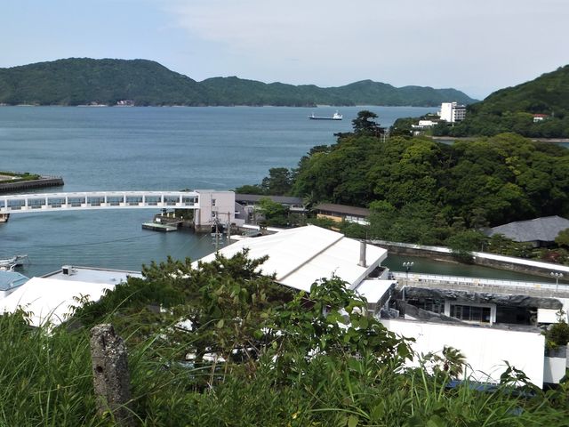 �����L�ꂩ��A�~�L���g�^�쓇�ƒ��H�����ق��悭�����܂��B_��R����