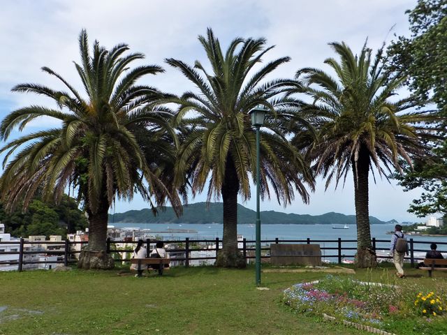 �썑�I�ȕ��͋C������܂��B_��R����