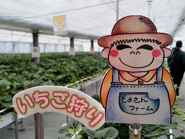 ���킢���Ŕ�(�Ƃ悳��)_�Ƃ悳��t�@�[����������