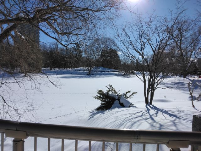 �{���͑傫�Ȓr�ł��ˁB_��������