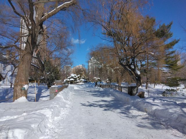 ������͊��S�ɐ�i�F�ł��B_��������