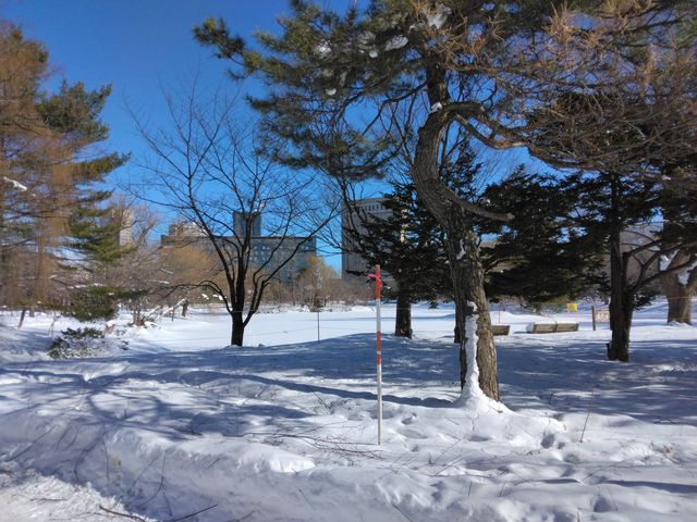 �̂�т�ƎU�����ł��܂����B_��������