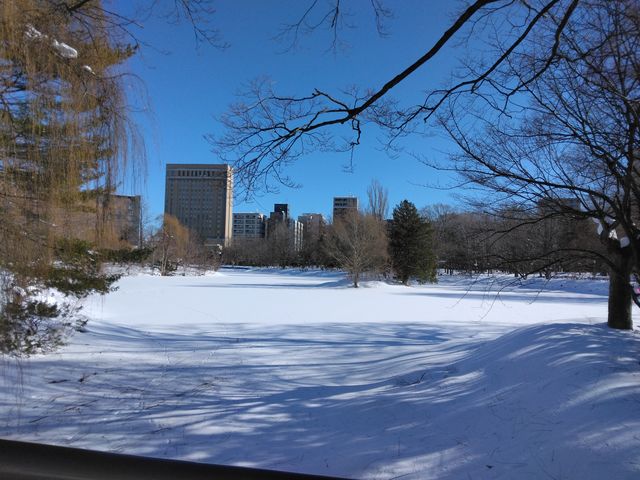 �k�C���炵���������܂����B_��������