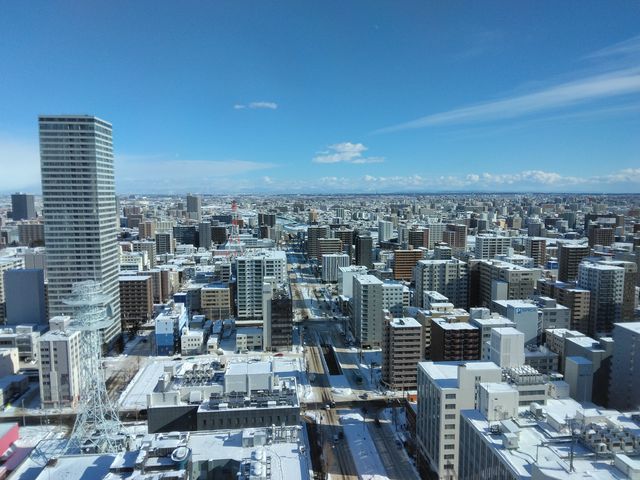 �D�y�͑傫���ł��B_�����ۂ�e���r��