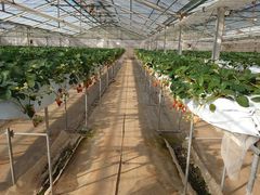 Tomi-ÕXgx[t@[21cRXւ̓eʐ^1