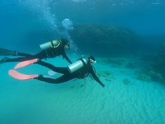 ȂȂ݂̃_CrOVbvTI.OCEANւ̓eʐ^1