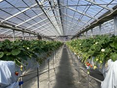 milijoumonfarmi傤ӂ[ށjւ̓eʐ^1