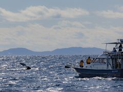 ZLK̃}Vbv }[Chւ̓eʐ^1