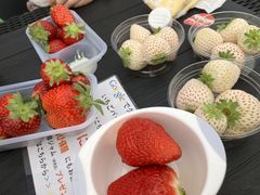 ܁[񂳂̂̂ւ̓eʐ^1