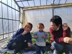 񂳂̂܂Ƃݔ_iەx_jւ̓eʐ^1