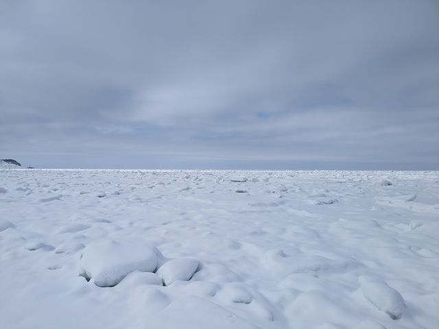 �C�̏�ł��I_�V�����iSHINRA�j