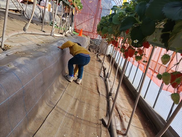 ���������_�܂��܉�