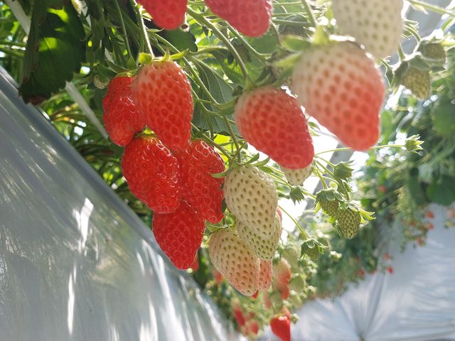 �^���ԂȂ��������������񂠂�܂����I_�������K�[�f�����͂�