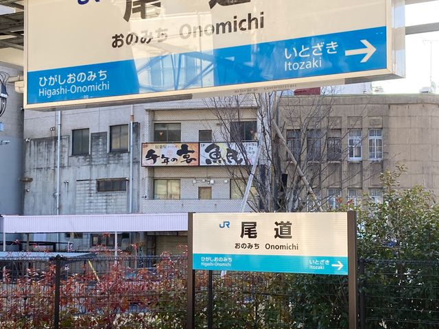 �����w�ό��ē���_�����w�ό��ē���