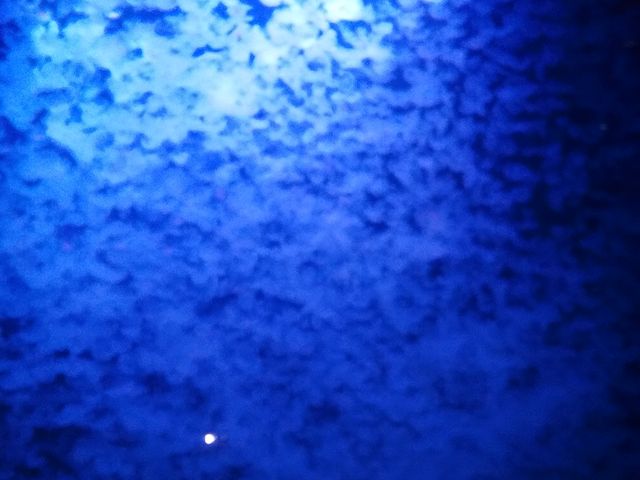 �~�Y�N���Q�̓W���������ł���_�߉��s�����ΐ�����