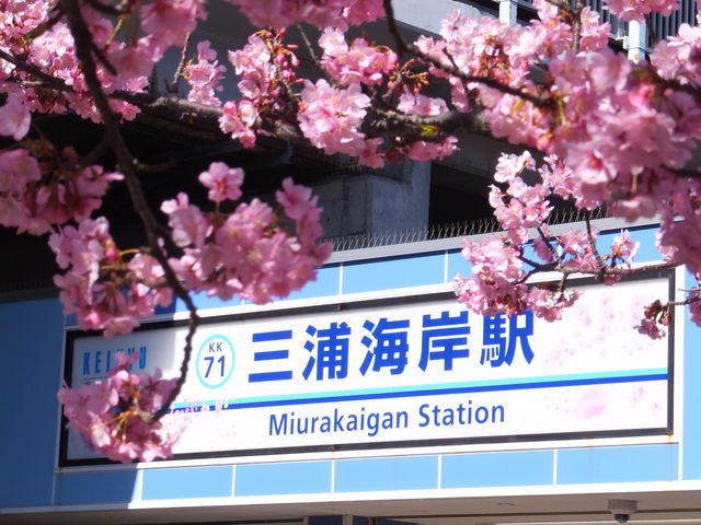 �w�̊ŔƉ͒Í�_���}�O�Y�C�݉w