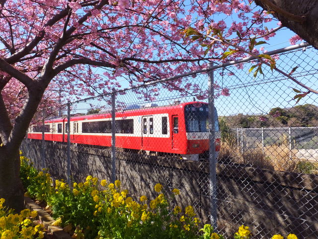 ���H�����̍�����_���}�O�Y�C�݉w