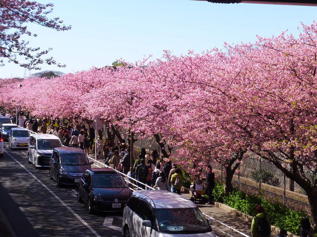 �l���Ԃ���a��_���}�O�Y�C�݉w