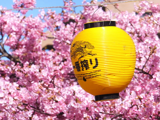 �x���`�̋߂��ɂ͒�_���}�O�Y�C�݉w