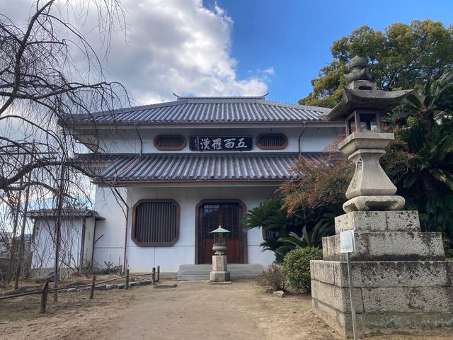 �E�b�L�[����̓V�J���̓��e�ʐ^1